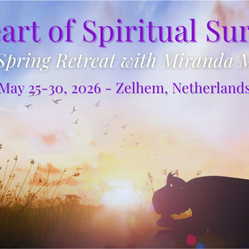 Early Bird - Facilitation + Organization Fee (EUR2026)